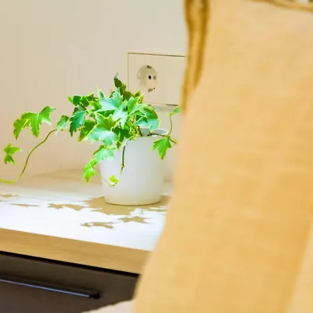 Appartement Cozy 4br Sea Views Port Wifi Ac